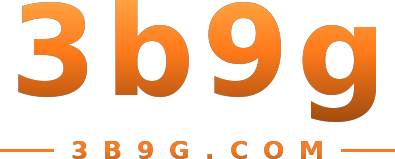 3b9g logo